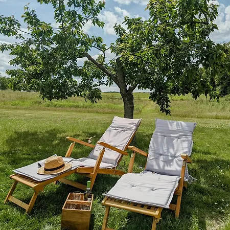 Loftwohnung Mit Garten Im Herzen Der Uckermark Hébergement de vacances Krochlendorf