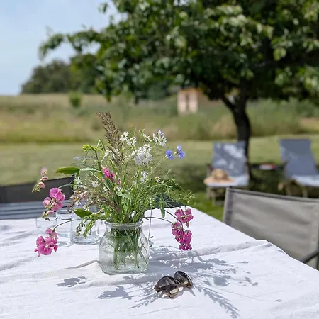 Loftwohnung Mit Garten Im Herzen Der Uckermark *